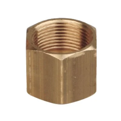 TUERCA HEX BRONCE 1/4 SURT OR