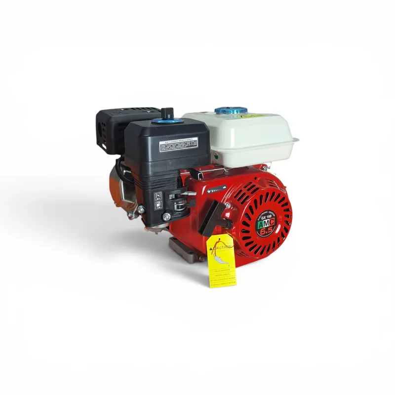 MOTOR GASOLINA 6.5 HP
