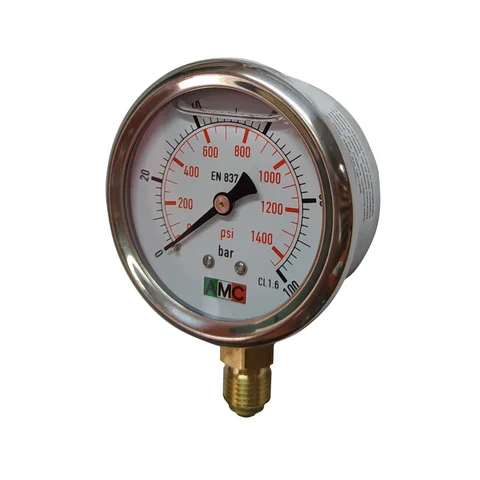 MANOMETRO GLICERINA 0-100 BAR INOX
