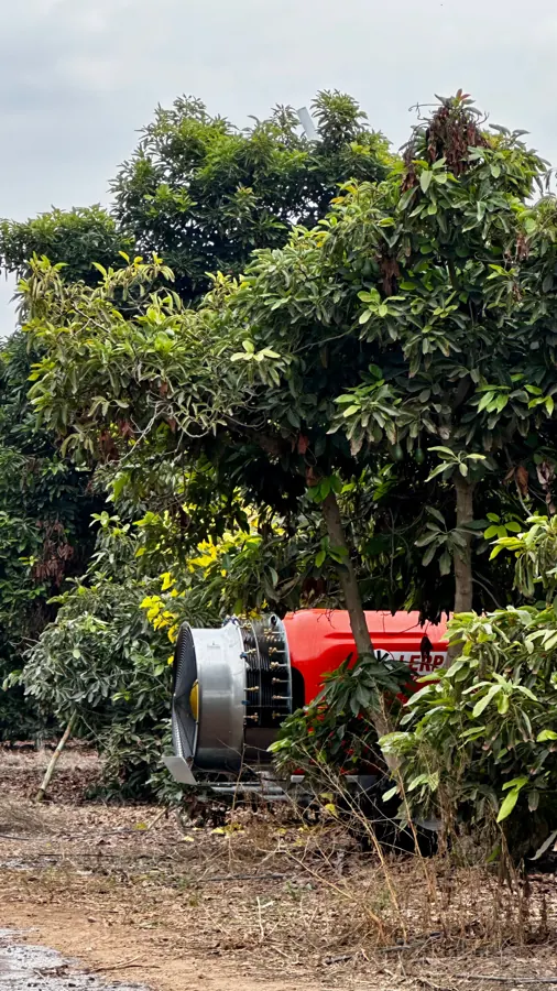 Nebulizador trabajando en paltos
